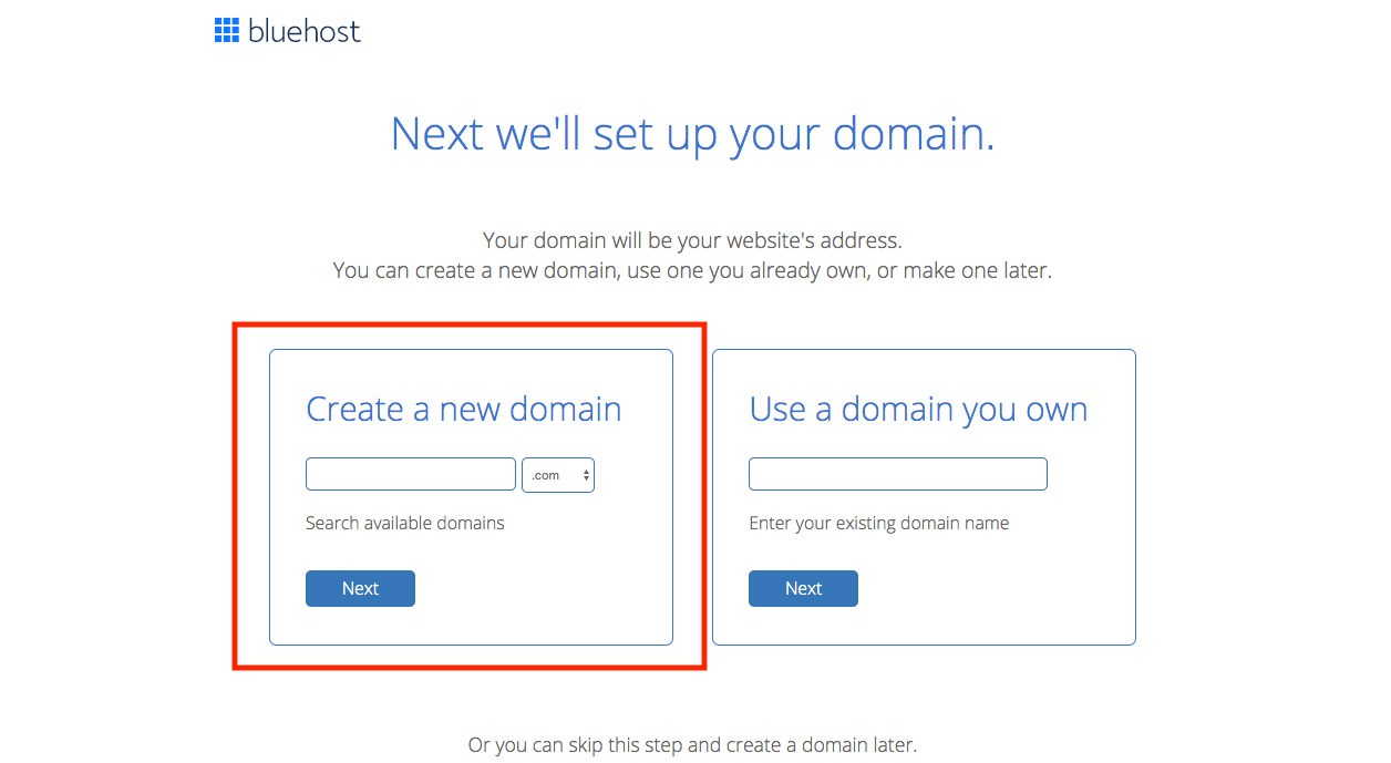 Bluehost choose domain name