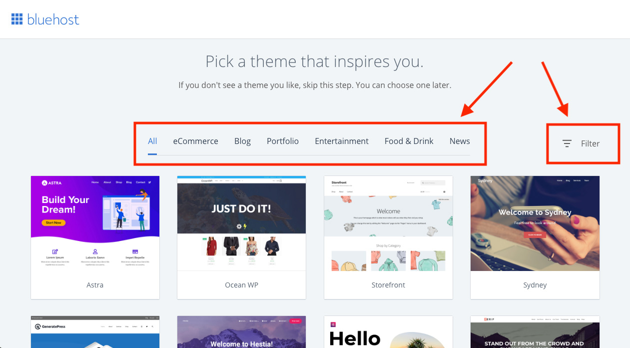 Bluehost theme selection